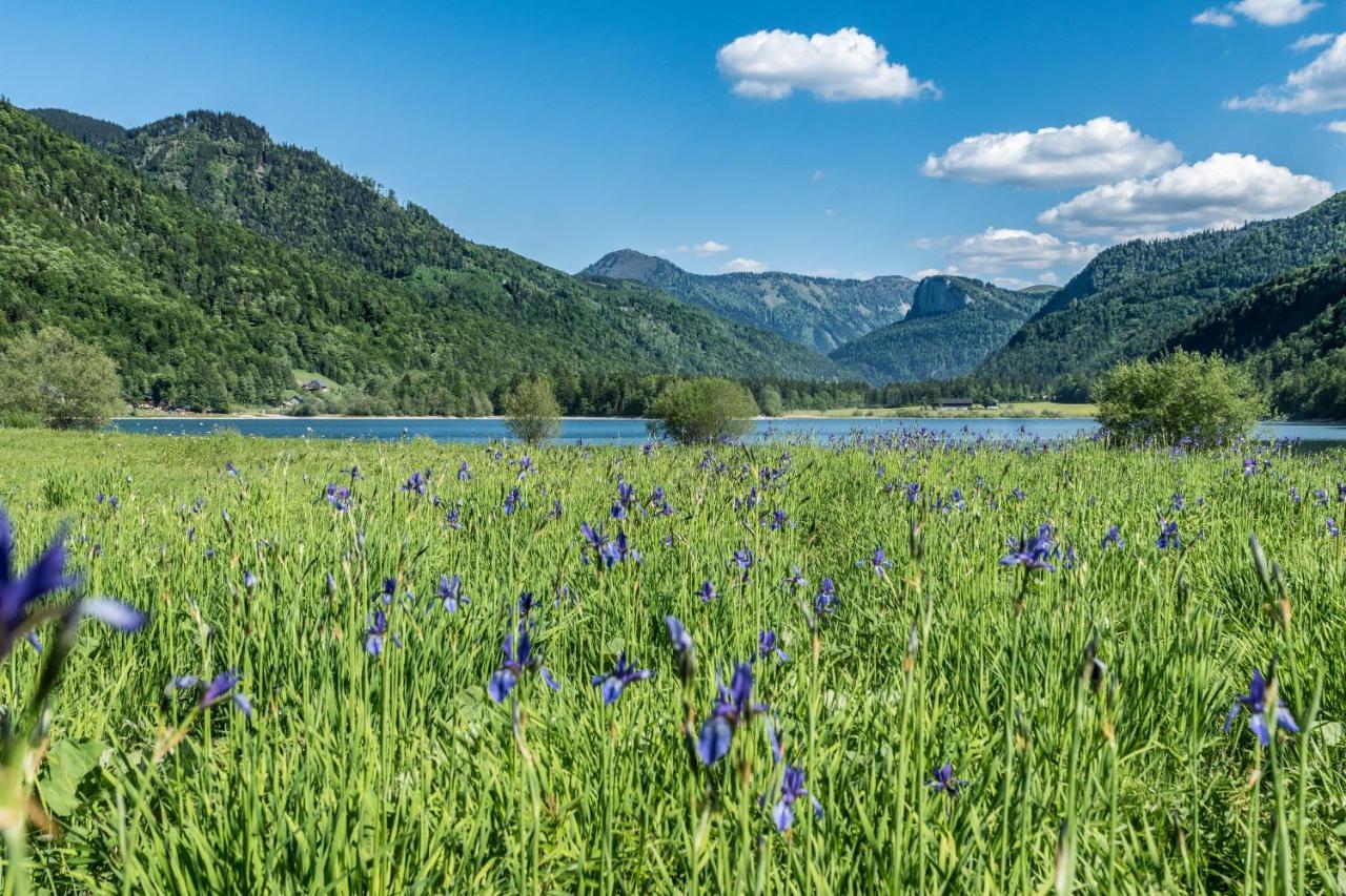 Hotel Fischerwirt Natur Waldspa Faistenau Εξωτερικό φωτογραφία