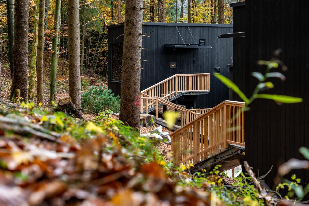 Hotel Fischerwirt Natur Waldspa Faistenau Εξωτερικό φωτογραφία